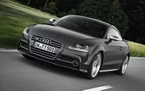   Audi TTS Coupe Competition - 2013