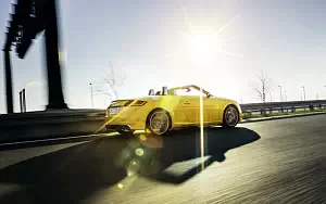   Audi TTS Roadster - 2015