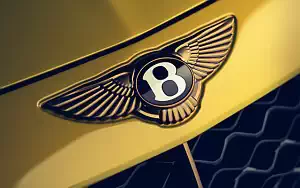   Bentley Mulliner Bacalar - 2020
