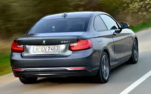   BMW 220i Coupe Sport Line - 2014
