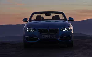   BMW 230i Convertible Luxury Line - 2017
