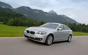   BMW 530d Luxury Line - 2013