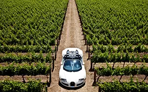 Обои автомобили Bugatti Veyron Grand Sport Roadster US-spec - 2009