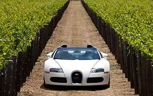 Обои автомобили Bugatti Veyron Grand Sport Roadster US-spec - 2009