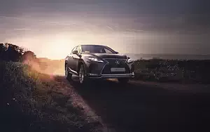   Lexus RX 450h Luxury - 2019
