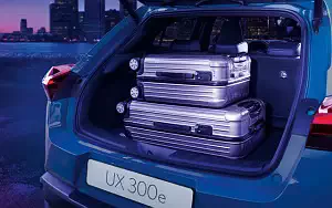   Lexus UX 300e - 2020