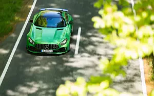   Mercedes-AMG GT R - 2016