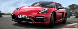 Porsche Cayman GTS - 2014