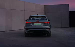   Audi Q6L e-tron quattro S line China-spec - 2024