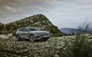   Audi Q8 55 e-tron quattro - 2022