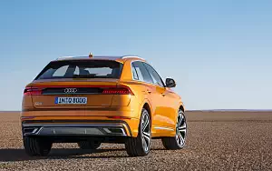   Audi Q8 50 TDI quattro S line - 2018