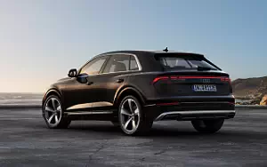   Audi Q8 55 TFSI e quattro - 2024