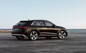   Audi Q8 55 TFSI e quattro - 2024