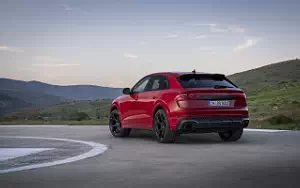   Audi RS Q8 performance - 2024