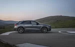   Audi RS Q8 - 2024