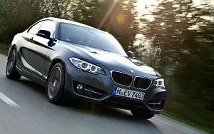   BMW 220i Coupe Sport Line - 2014