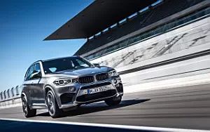   BMW X5 M - 2015