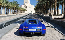   Bugatti Veyron 16.4 Grand Sport - 2011