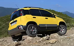   Fiat Panda Cross - 2014