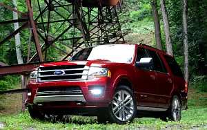   Ford Expedition Platinum - 2015