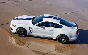   Shelby GT350 Mustang - 2015