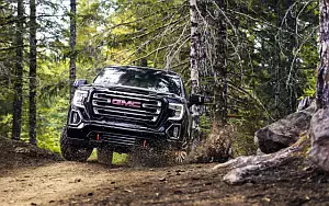   GMC Sierra AT4 Crew Cab - 2018