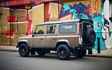   Land Rover Defender 110 Station Wagon Raw - 2011