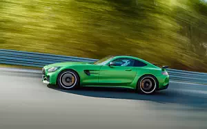   Mercedes-AMG GT R - 2016