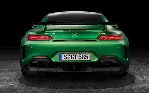   Mercedes-AMG GT R - 2016