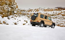   Mercedes-Benz G-class Edition 30 - 2009