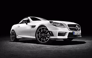   Mercedes-Benz SLK55 AMG CarbonLOOK Edition - 2014