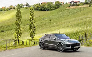   Porsche Cayenne S Coupe (Quarzite Grey Metallic) - 2019