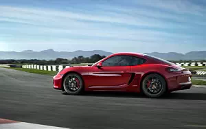   Porsche Cayman GTS - 2014