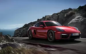   Porsche Cayman GTS - 2014