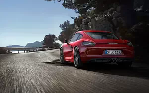   Porsche Cayman GTS - 2014