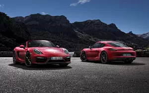   Porsche Cayman GTS - 2014