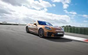   Porsche Panamera Turbo E-Hybrid (Madeira Gold Metallic) - 2024