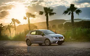   Seat Ibiza - 2009