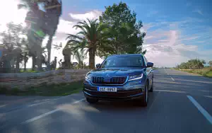   Skoda Kodiaq - 2017